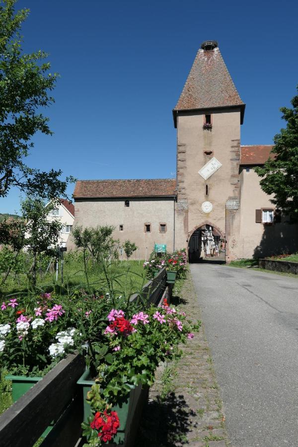 Au Petit Paradis Амершвир Экстерьер фото
