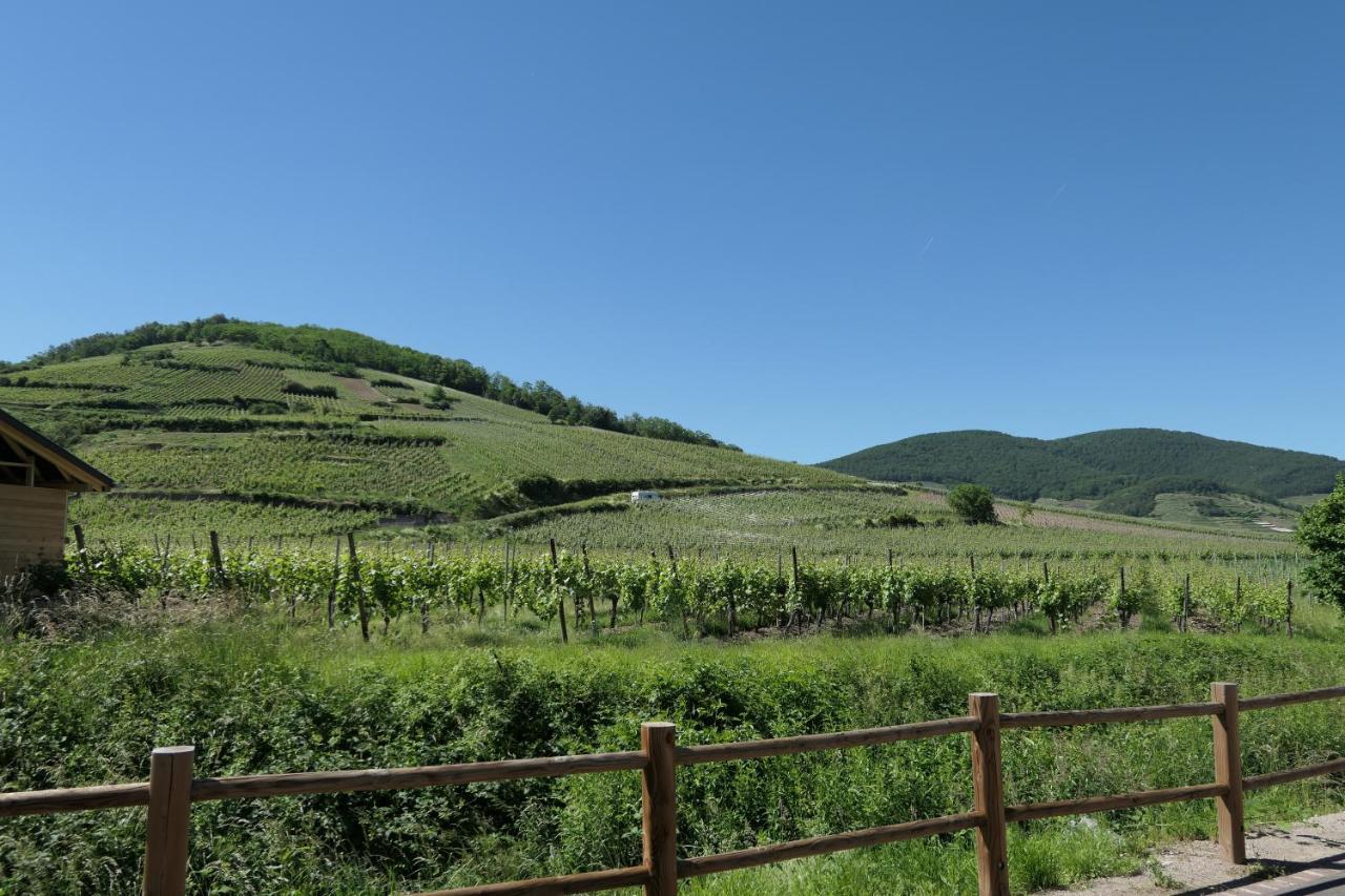 Au Petit Paradis Амершвир Экстерьер фото